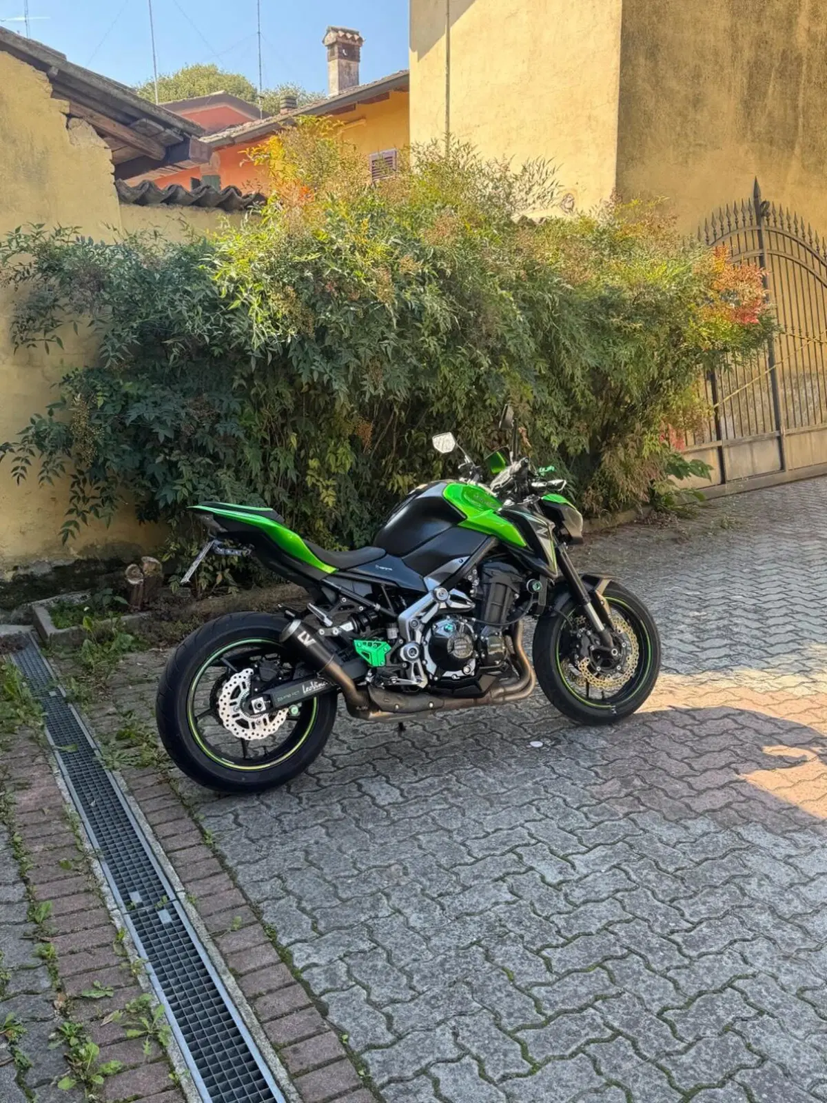 Kawasaki Z 900 (2017 - 18) (2)