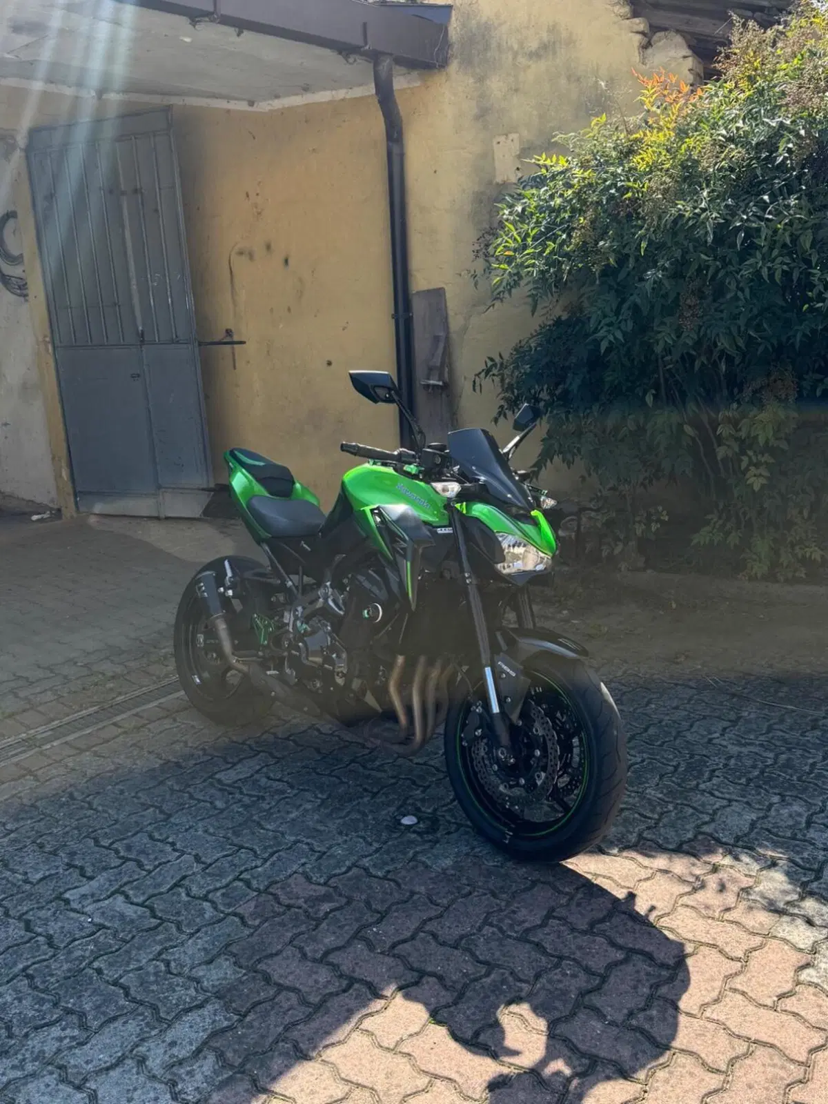 Kawasaki Z 900 (2017 - 18) (3)