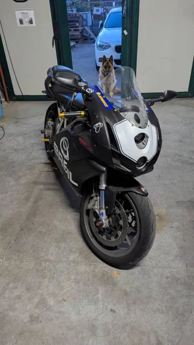 Ducati 749 Dark (2003 - 07) usata