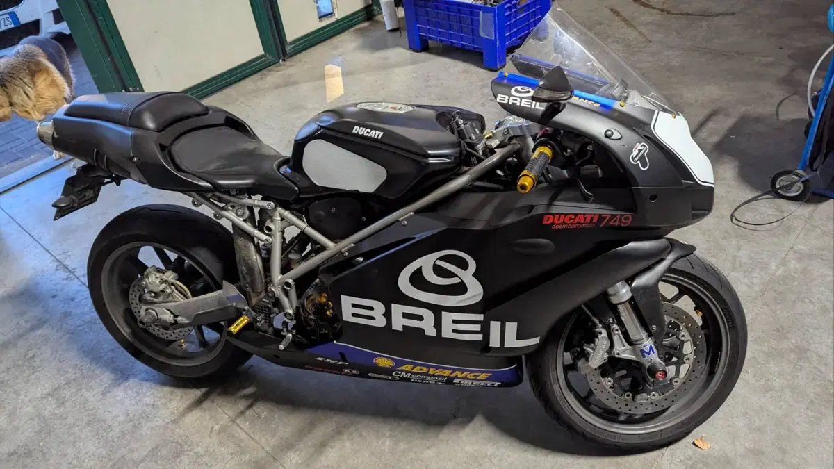 Ducati 749 Dark (2003 - 07) (3)