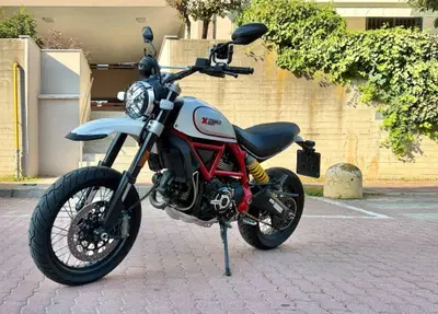 Ducati Scrambler 800 Desert Sled (2017 - 20) usata
