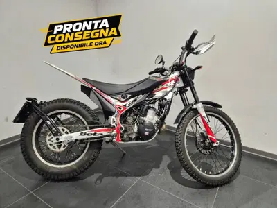 Betamotor Evo 300 SS 2t (2019 - 20) usata