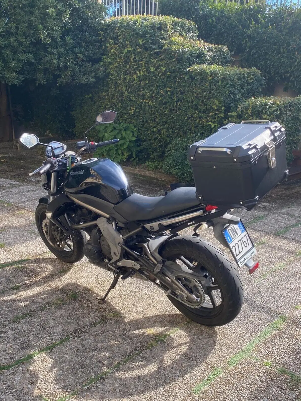 Kawasaki ER-6N (2006 - 09) (4)