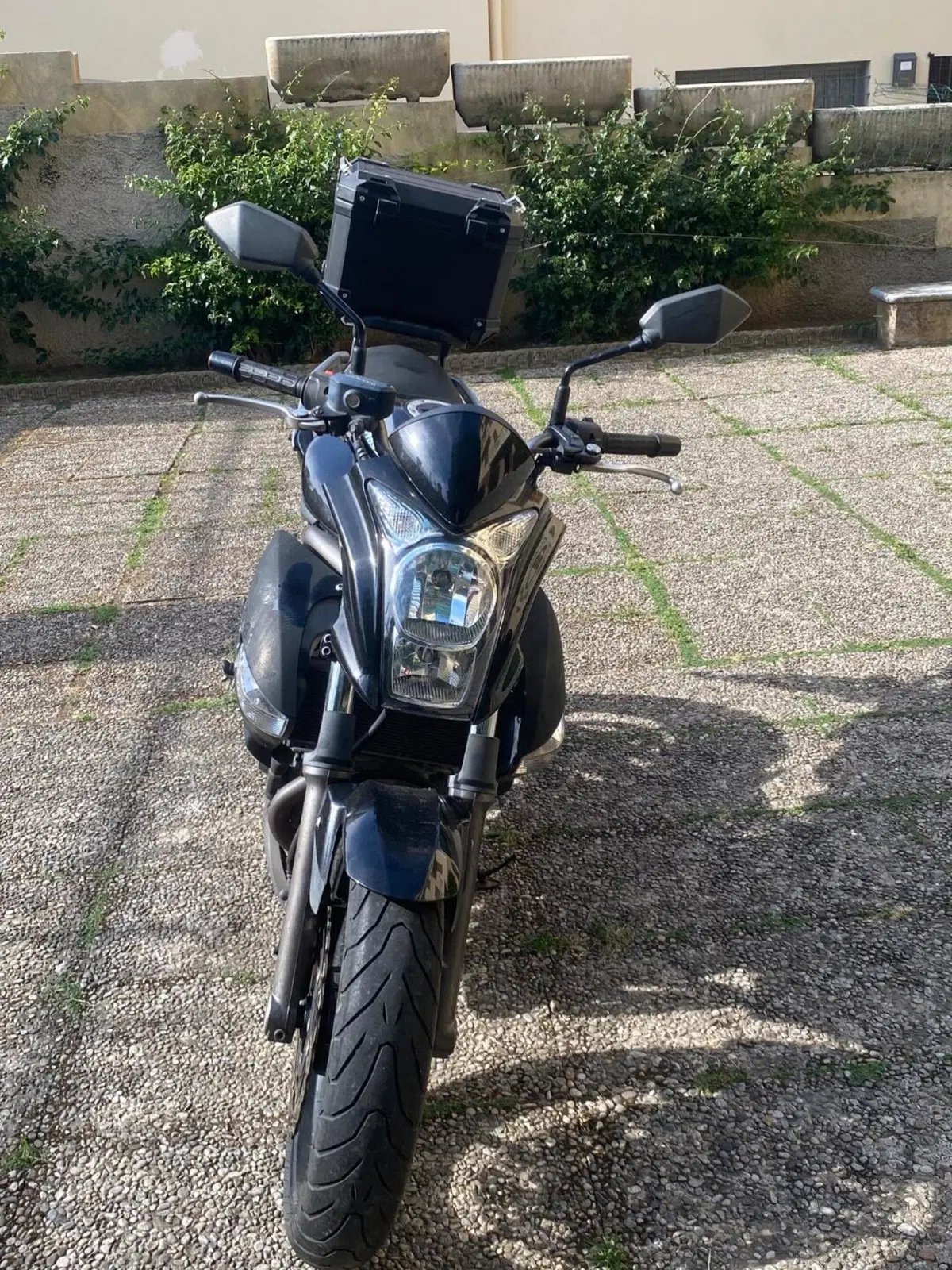 Kawasaki ER-6N (2006 - 09) (5)