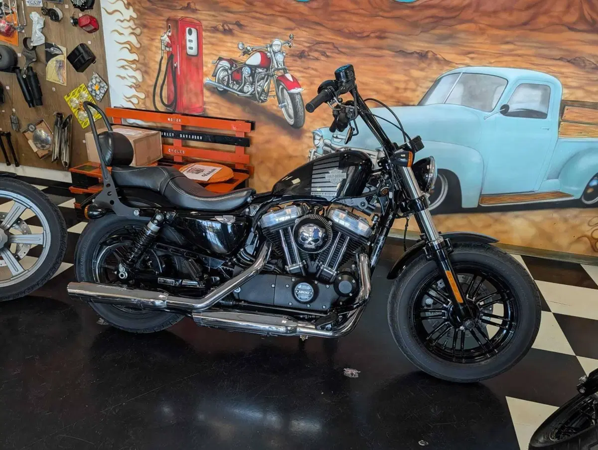 Harley-Davidson 1200 Forty-Eight (2016 - 20) (2)