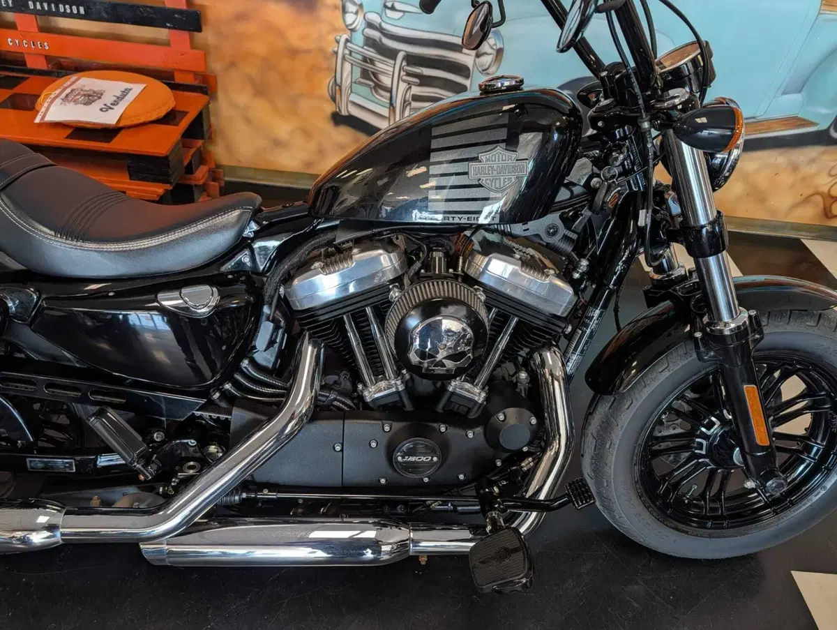 Harley-Davidson 1200 Forty-Eight (2016 - 20) (3)