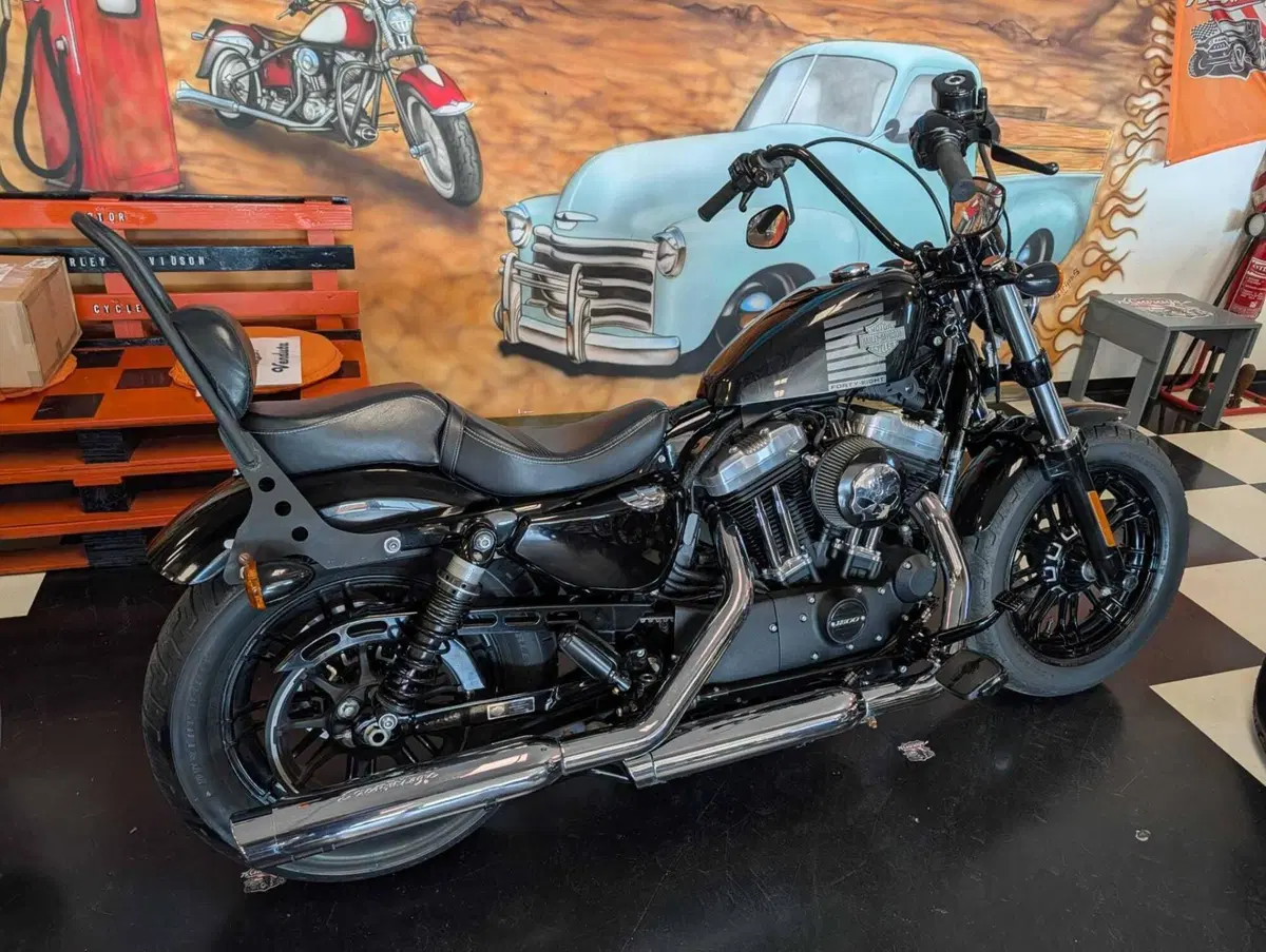 Harley-Davidson 1200 Forty-Eight (2016 - 20) (5)