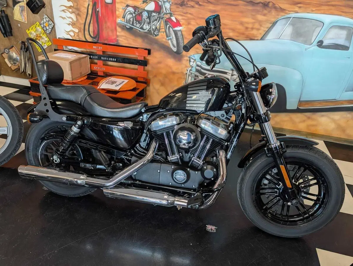 Harley-Davidson 1200 Forty-Eight (2016 - 20) (6)