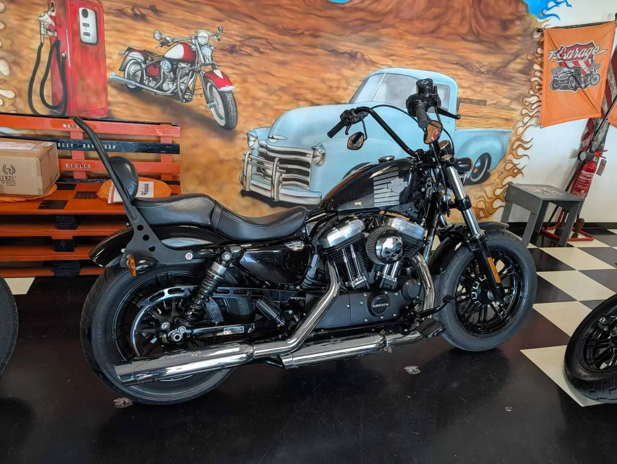 Harley-Davidson 1200 Forty-Eight (2016 - 20) (7)
