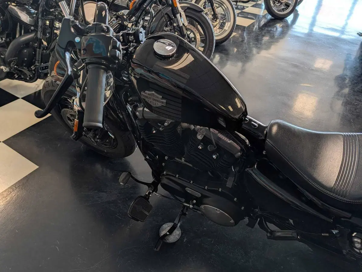 Harley-Davidson 1200 Forty-Eight (2016 - 20) (8)