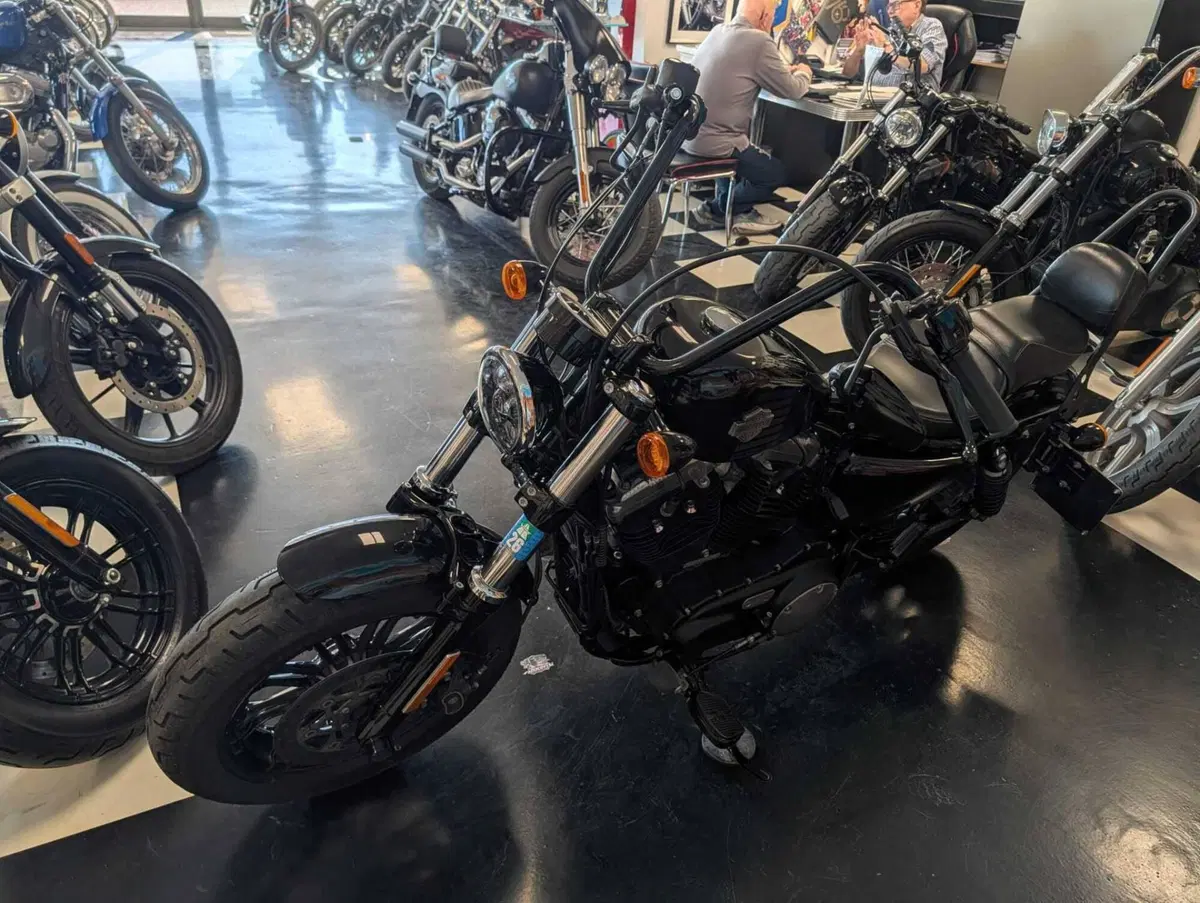 Harley-Davidson 1200 Forty-Eight (2016 - 20) (9)