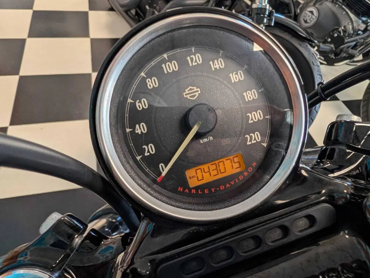Harley-Davidson 1200 Forty-Eight (2016 - 20) (10)