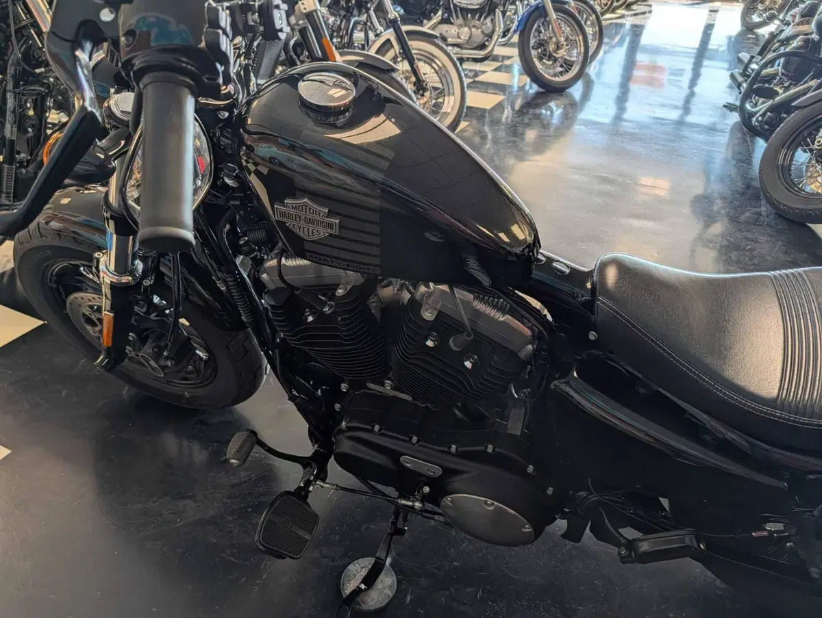 Harley-Davidson 1200 Forty-Eight (2016 - 20) (12)