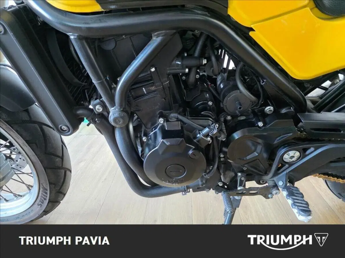 Benelli Leoncino 500 Trail (2021 - 26) (5)