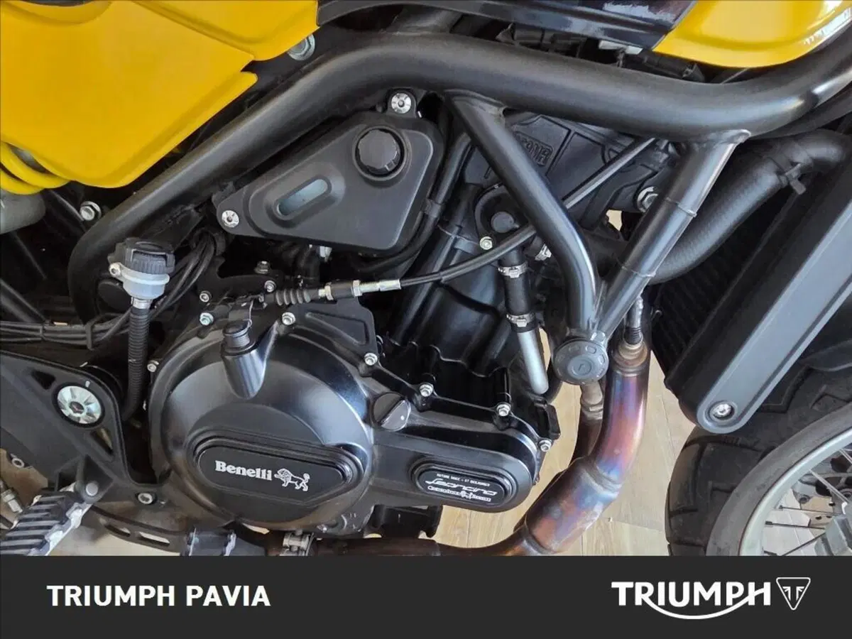 Benelli Leoncino 500 Trail (2021 - 26) (13)