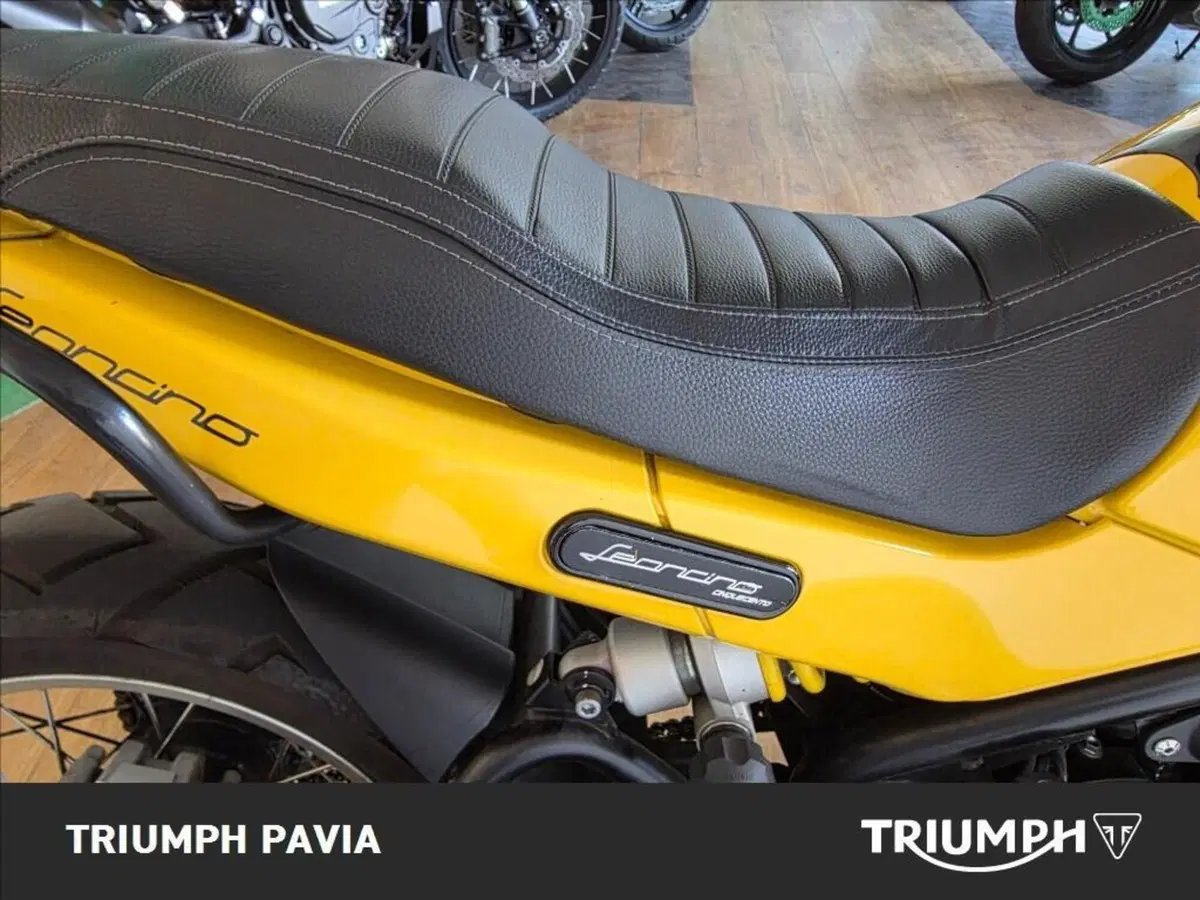Benelli Leoncino 500 Trail (2021 - 26) (14)