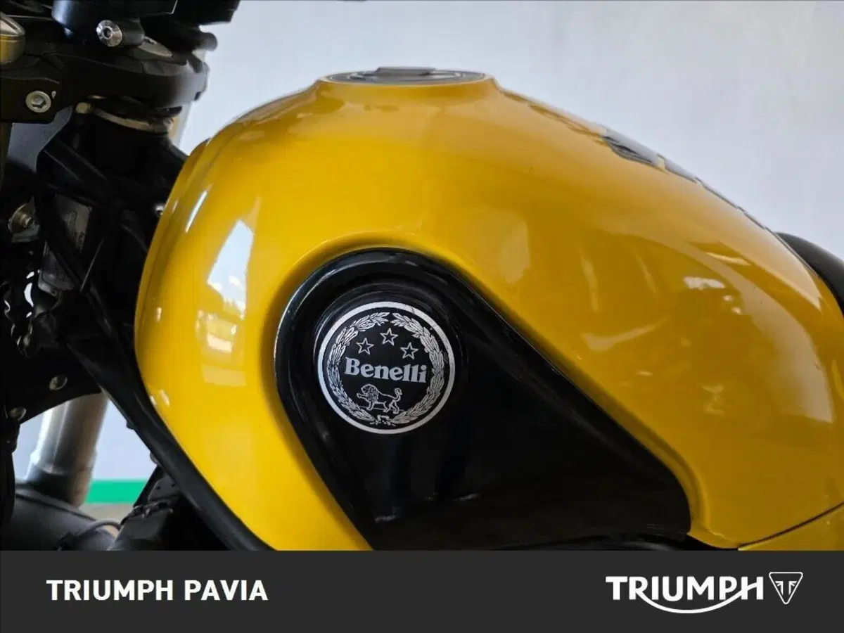Benelli Leoncino 500 Trail (2021 - 26) (4)