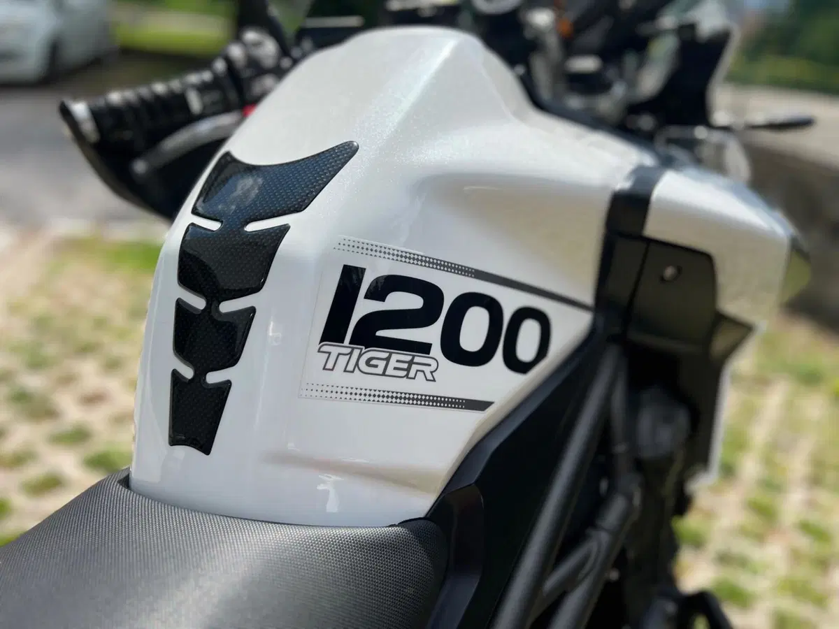 Triumph Tiger 1200 XCa (2018 - 20) (9)