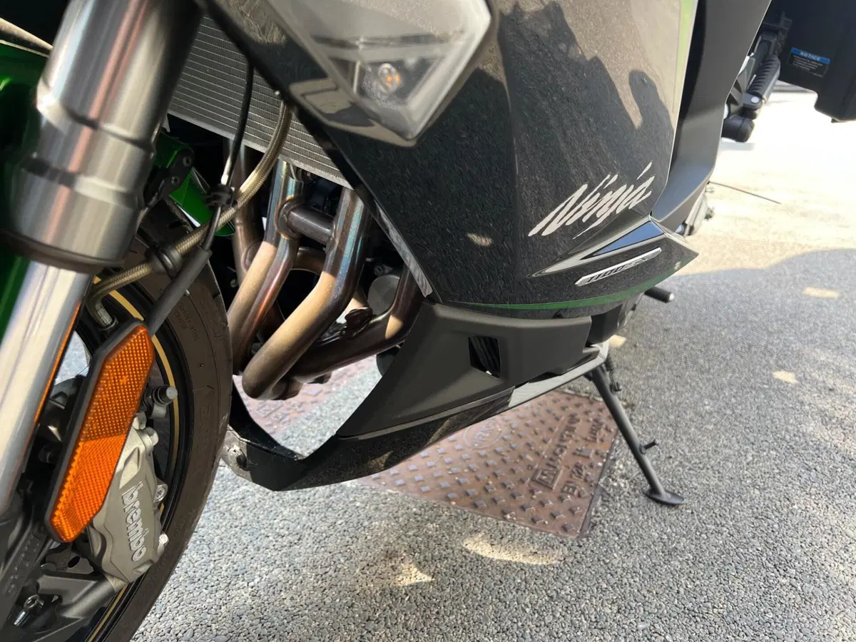Kawasaki Ninja 1100 SX SE Tourer (2025 - 26) (17)