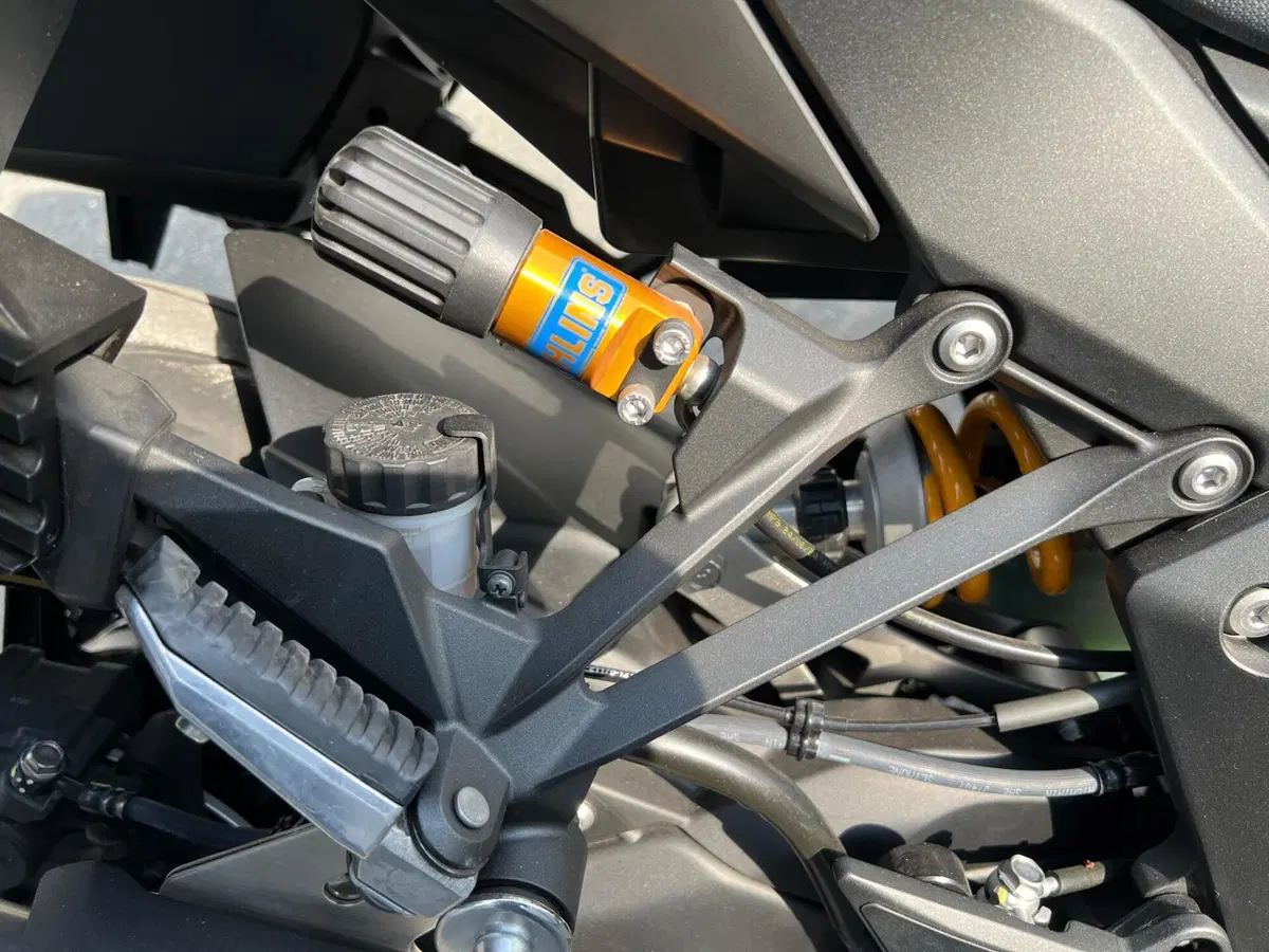 Kawasaki Ninja 1100 SX SE Tourer (2025 - 26) (15)