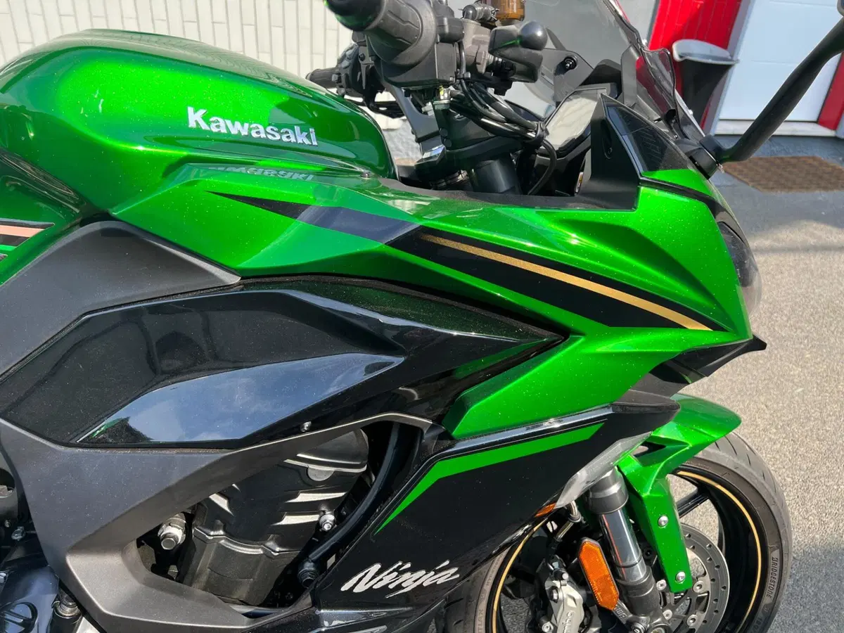 Kawasaki Ninja 1100 SX SE Tourer (2025 - 26) (8)