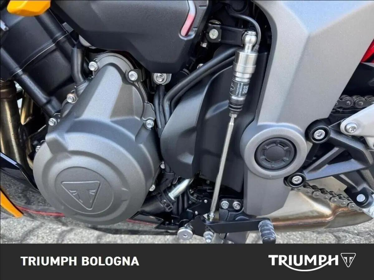 Triumph Daytona 660 (2024 - 26) (3)