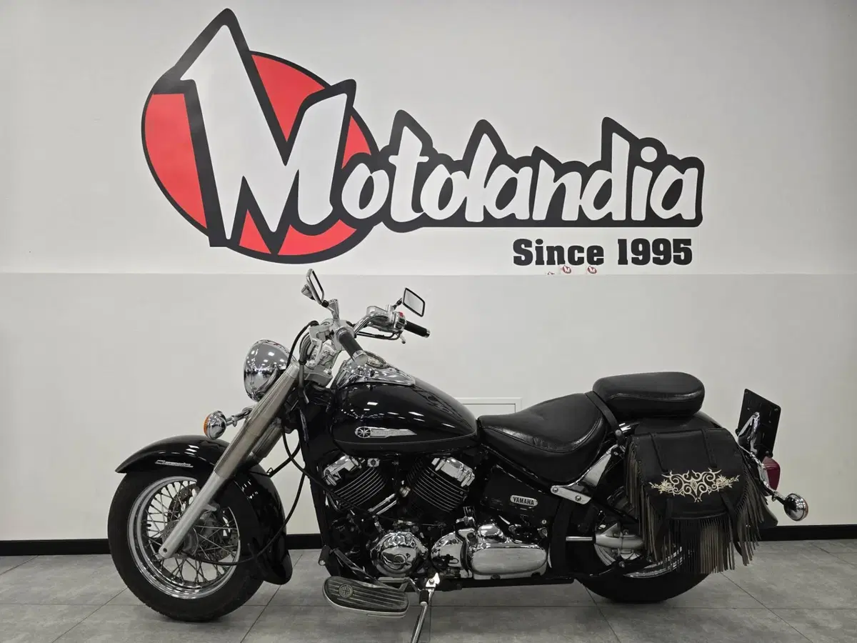 Yamaha XVS 650 Drag Star A Classic (1998 - 06) (3)