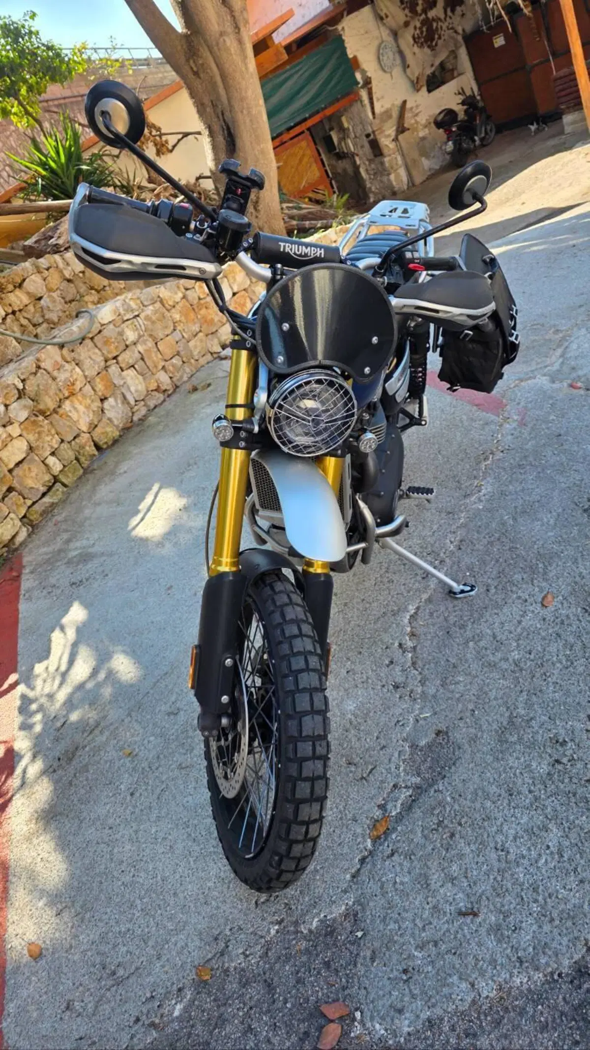Triumph Scrambler 1200 XE (2019 - 20) (3)