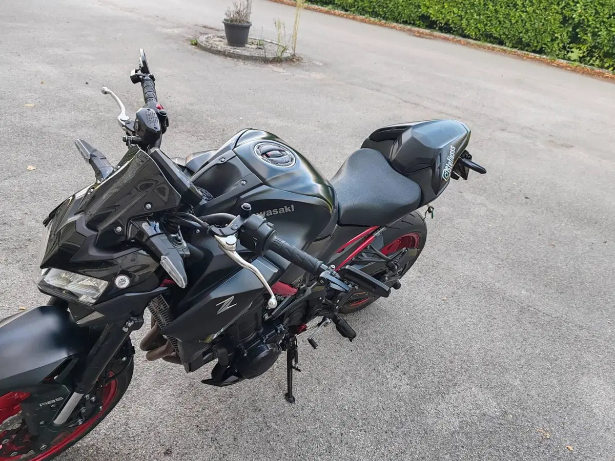 Kawasaki Z 900 (2021 - 24) (6)