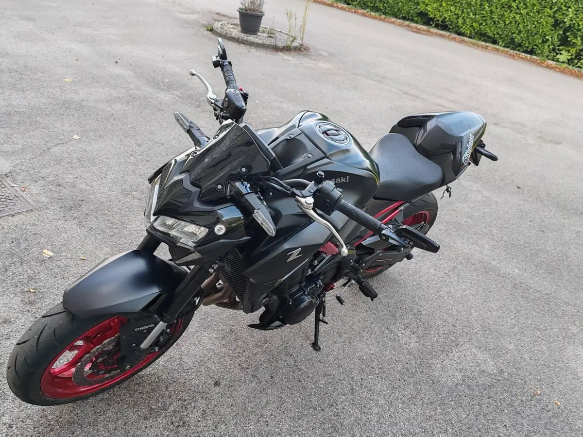 Kawasaki Z 900 (2021 - 24) (7)