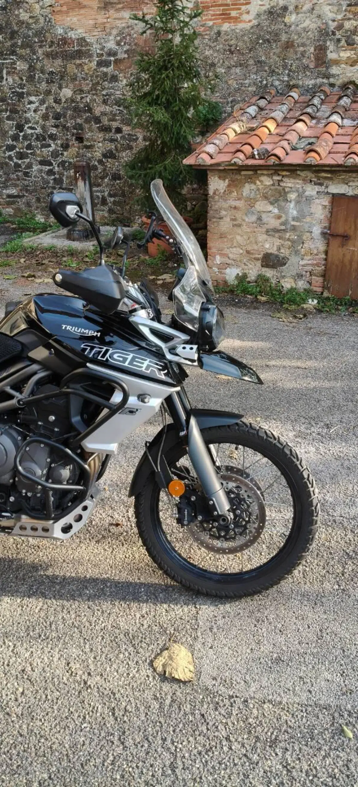 Triumph Tiger 800 XCx (2018 - 20) (2)