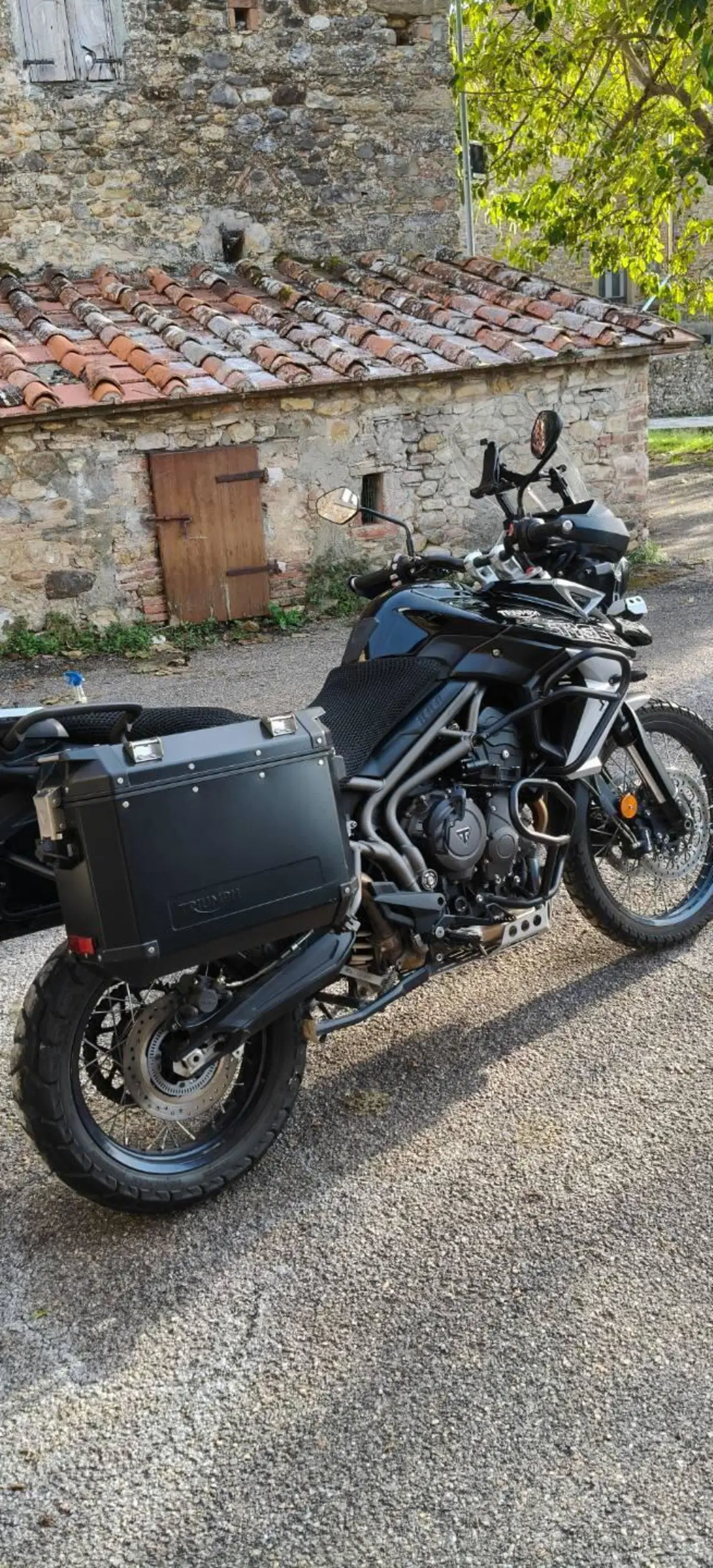 Triumph Tiger 800 XCx (2018 - 20) (3)