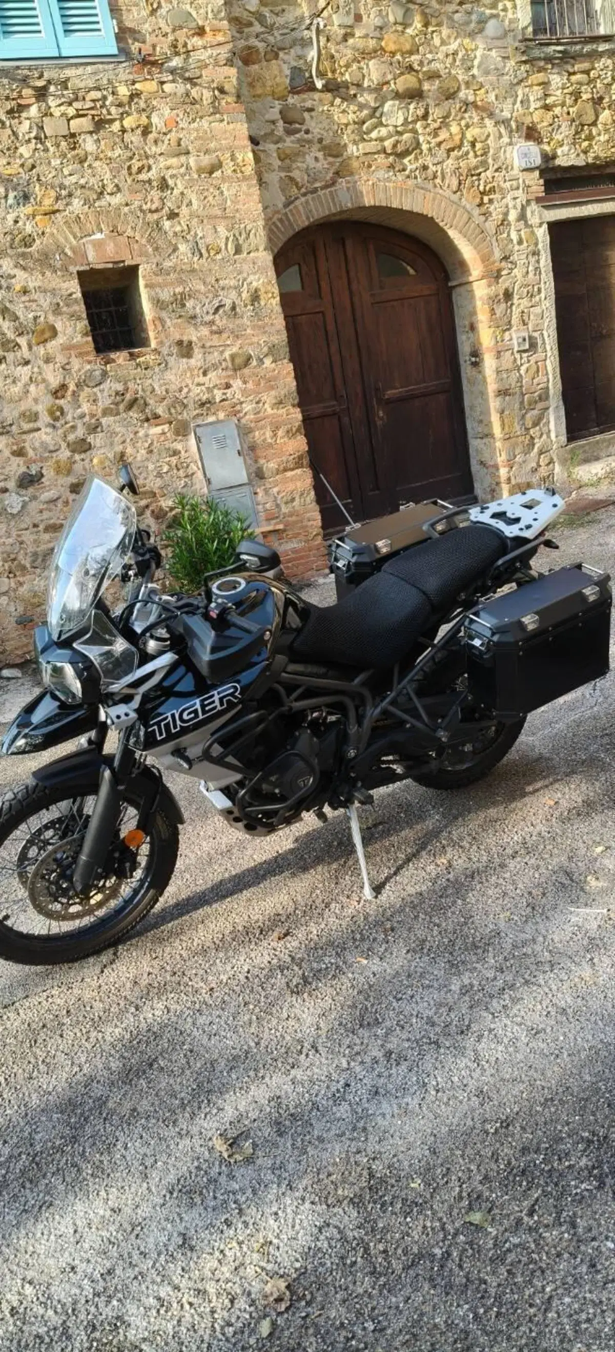 Triumph Tiger 800 XCx (2018 - 20) (5)