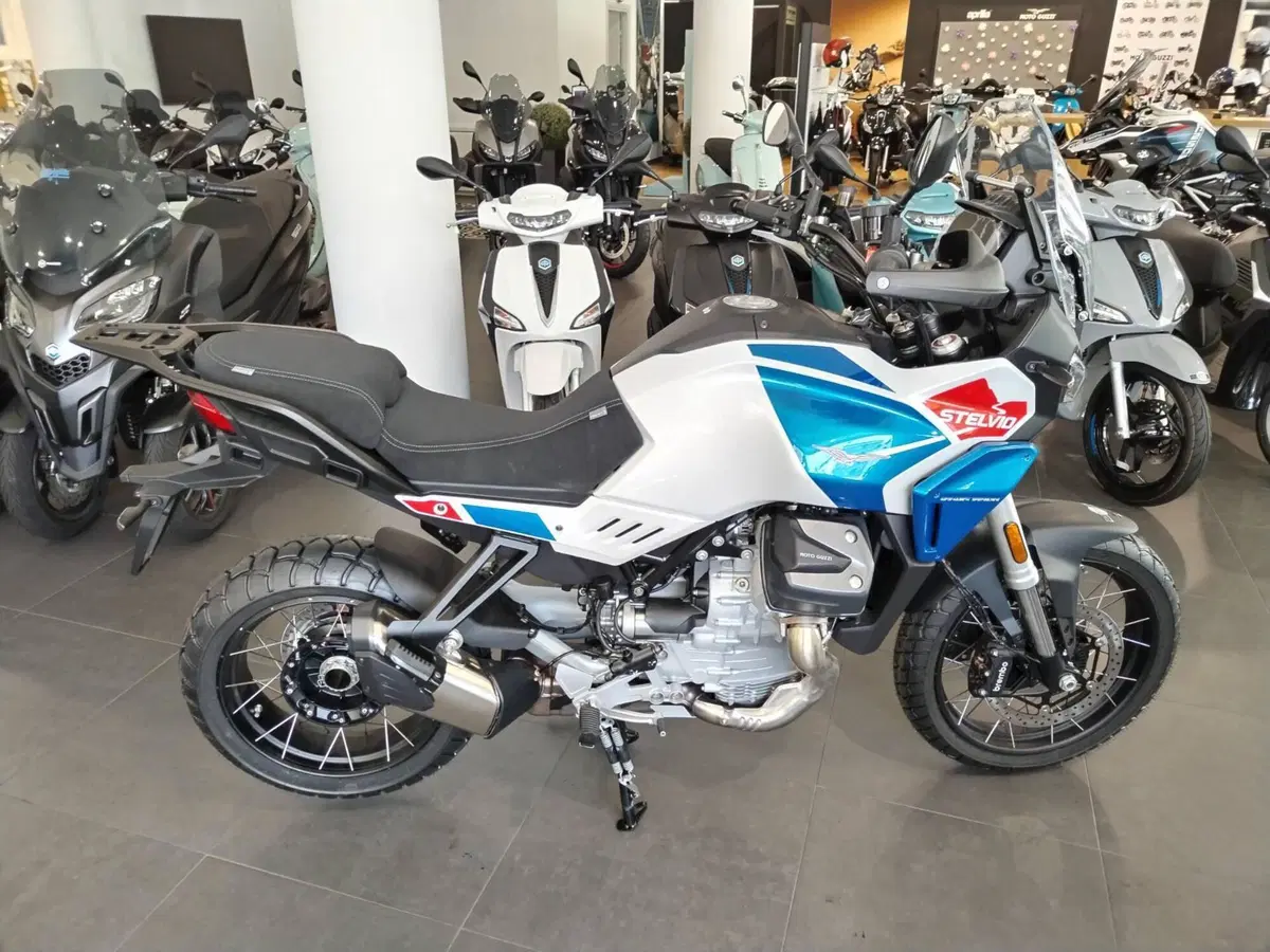Moto Guzzi Stelvio Duecento Tributo (2025 - 26) (4)