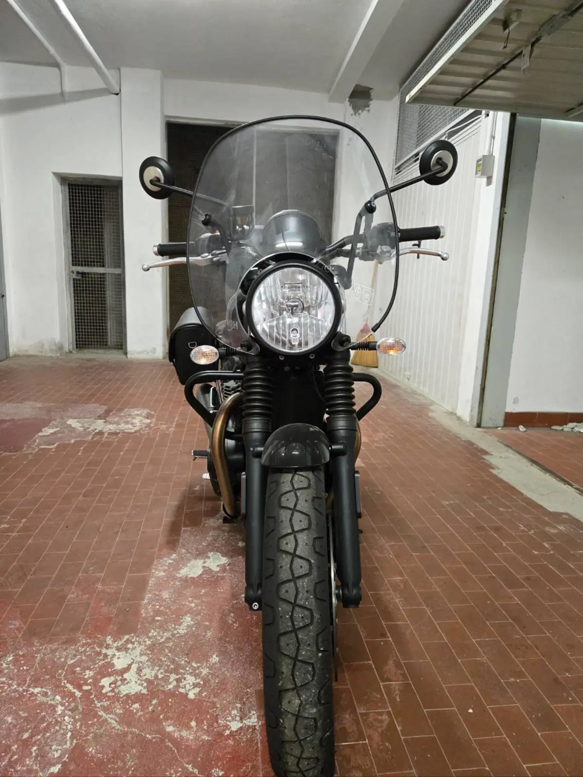 Triumph Speed Twin 900 (2023 - 24)