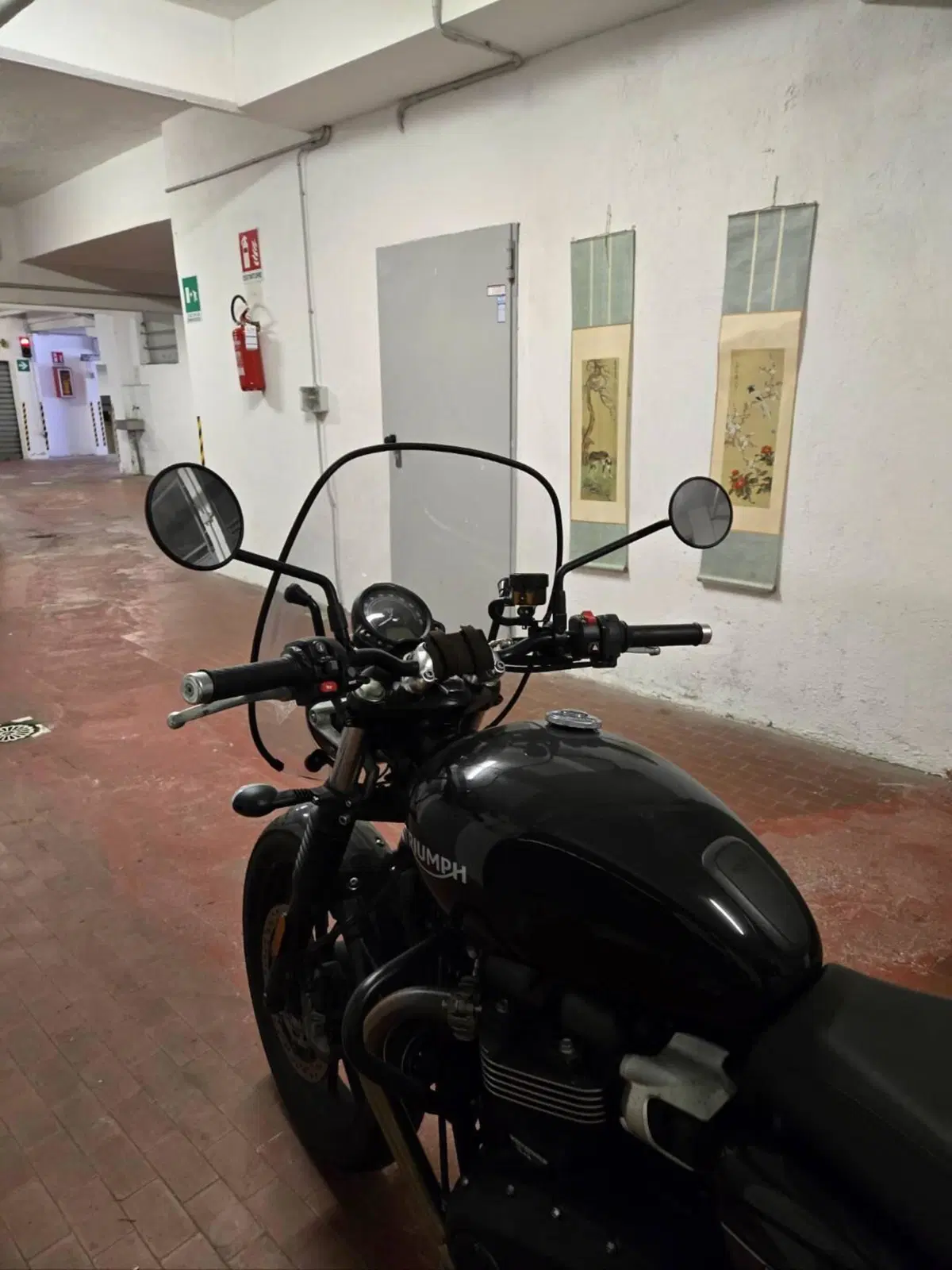 Triumph Speed Twin 900 (2023 - 24) (6)