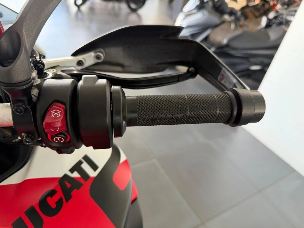 Ducati Multistrada V4 RS (2024 - 25) (5)