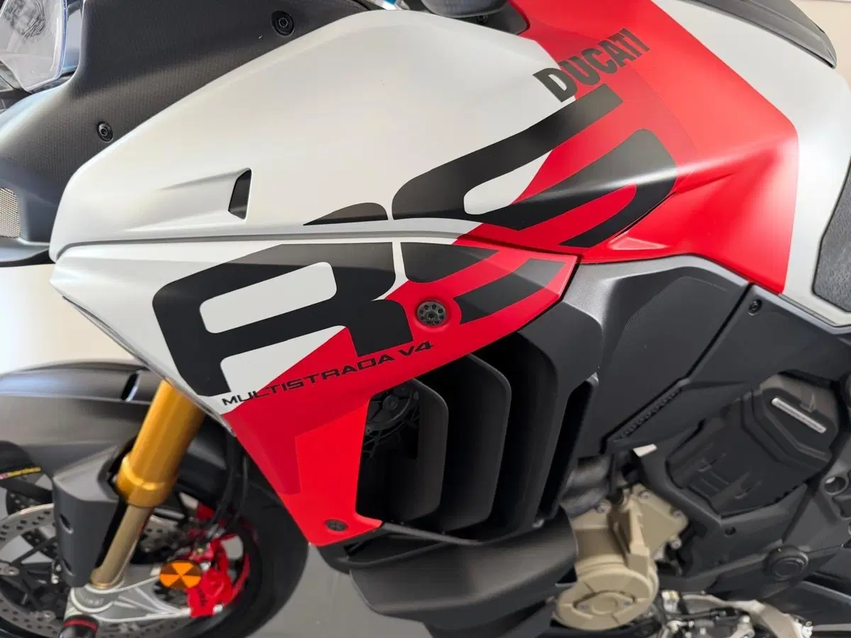 Ducati Multistrada V4 RS (2024 - 25) (8)
