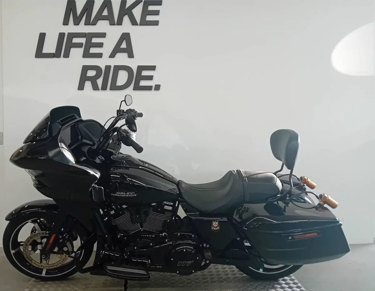 Harley-Davidson Road Glide (2024 - 26) (2)
