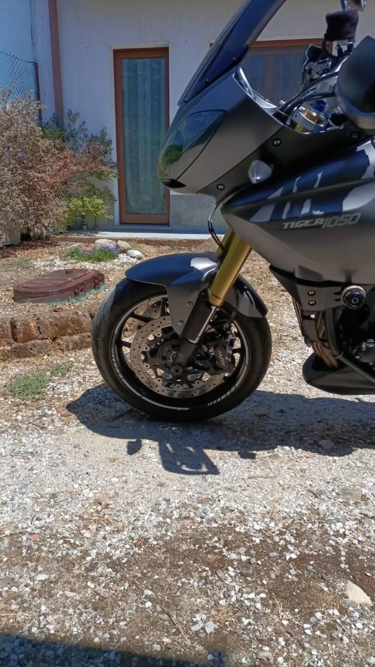 Triumph Tiger 1050 ABS (2006 - 12) (6)