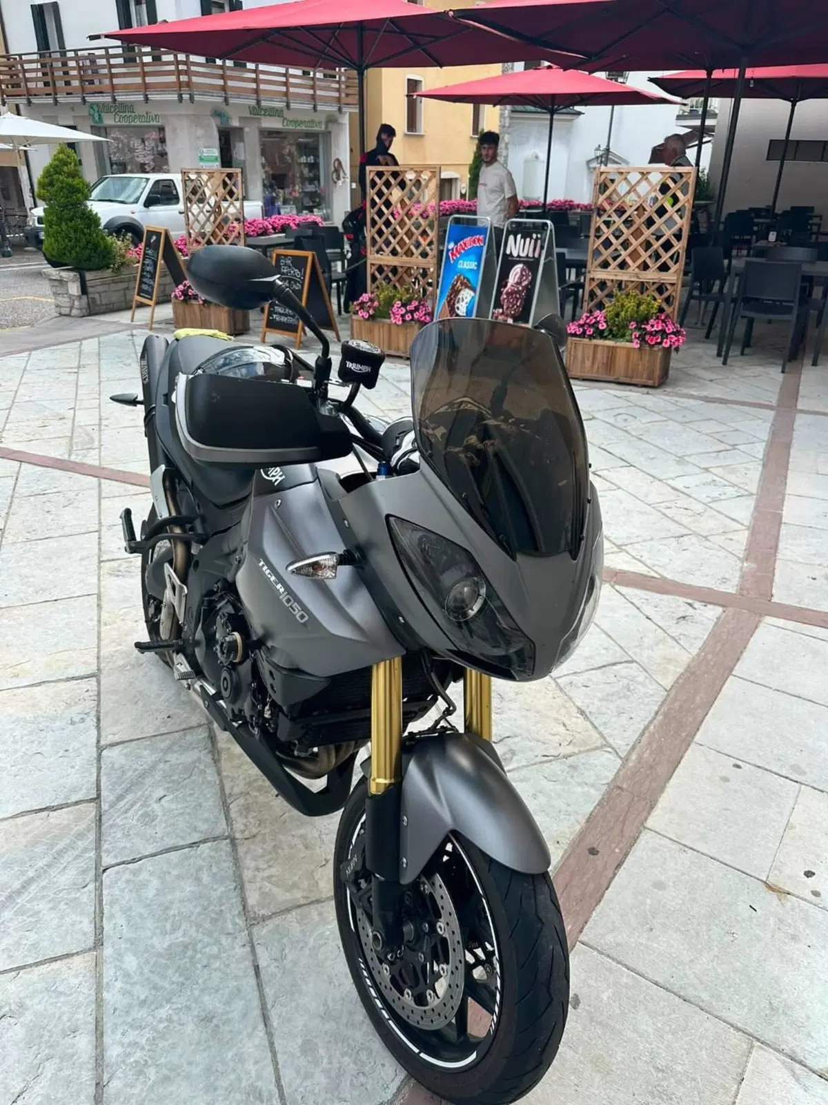 Triumph Tiger 1050 ABS (2006 - 12) (10)