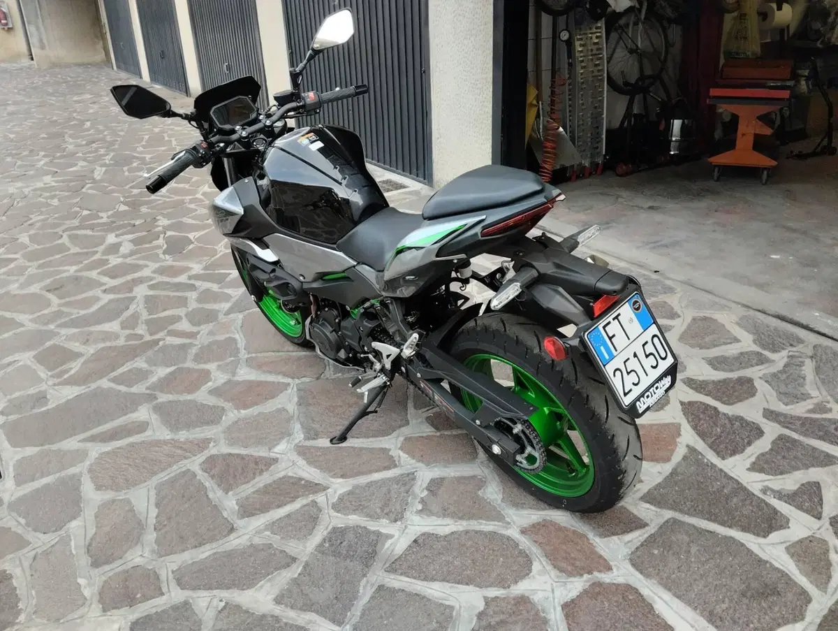 Kawasaki Z 500 SE (2024 - 26) (4)