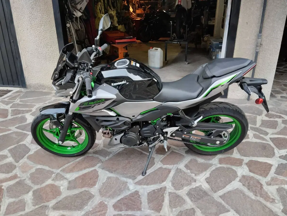 Kawasaki Z 500 SE (2024 - 26) (3)