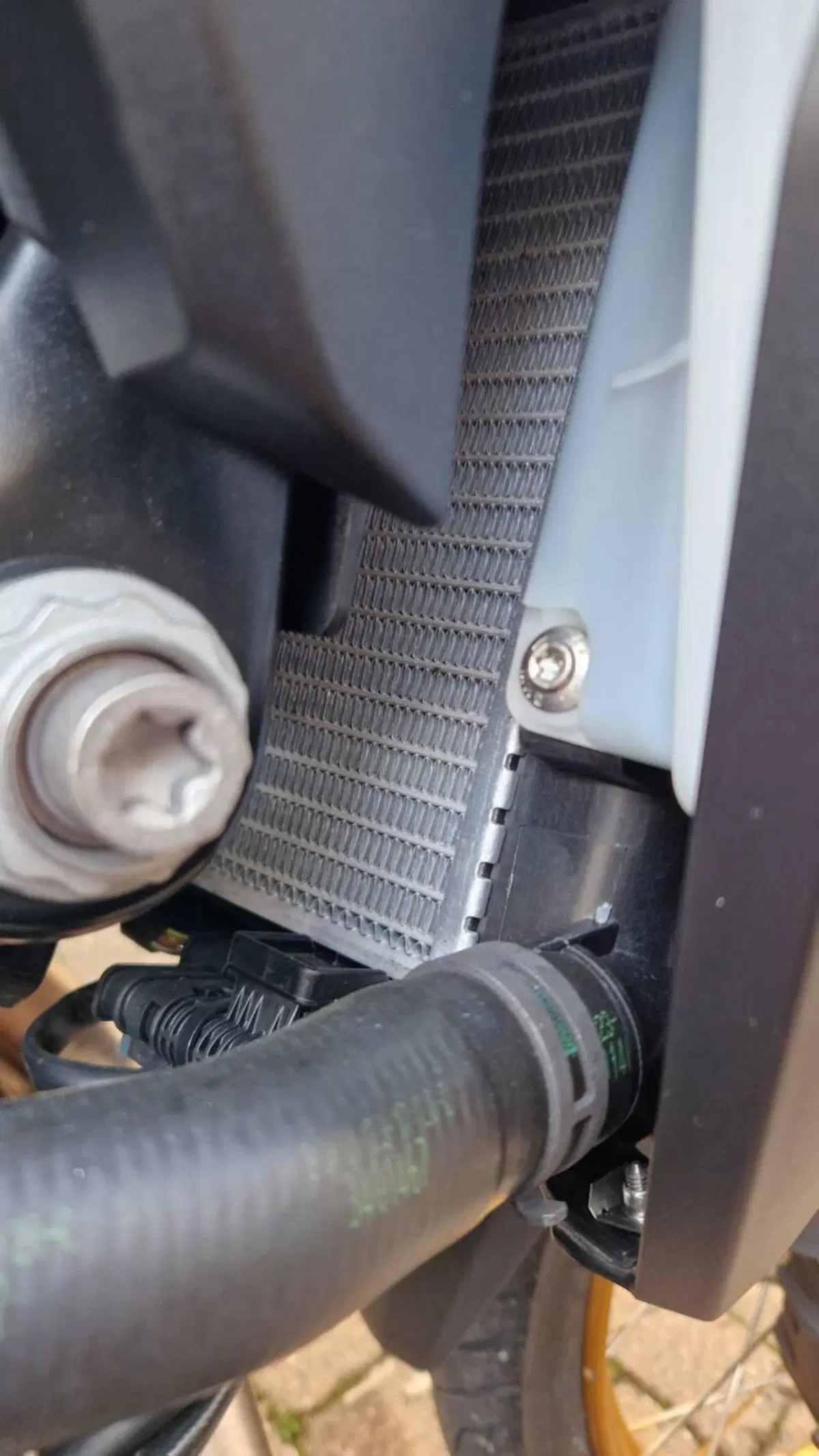 Bmw F 900 GS (2024 - 26) (7)