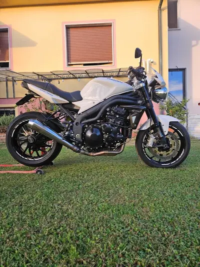 Triumph Speed Triple 1050 (2005 - 11) usata