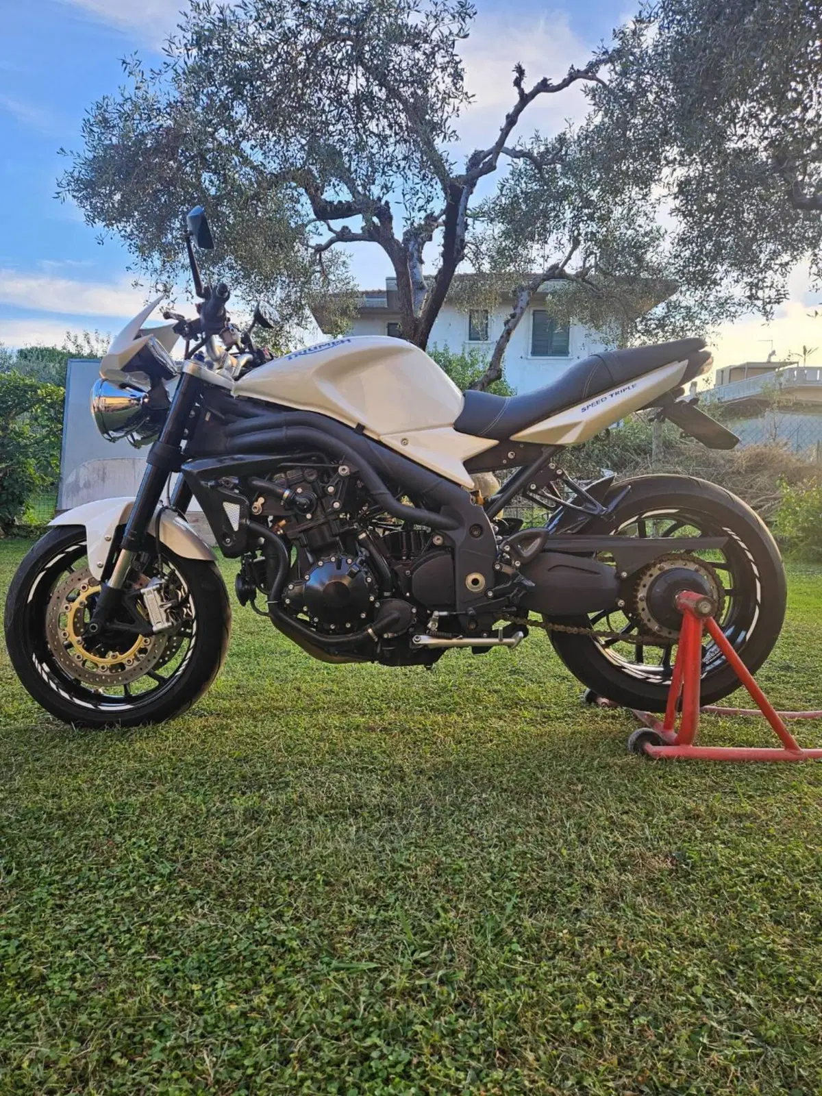 Triumph Speed Triple 1050 (2005 - 11) (2)