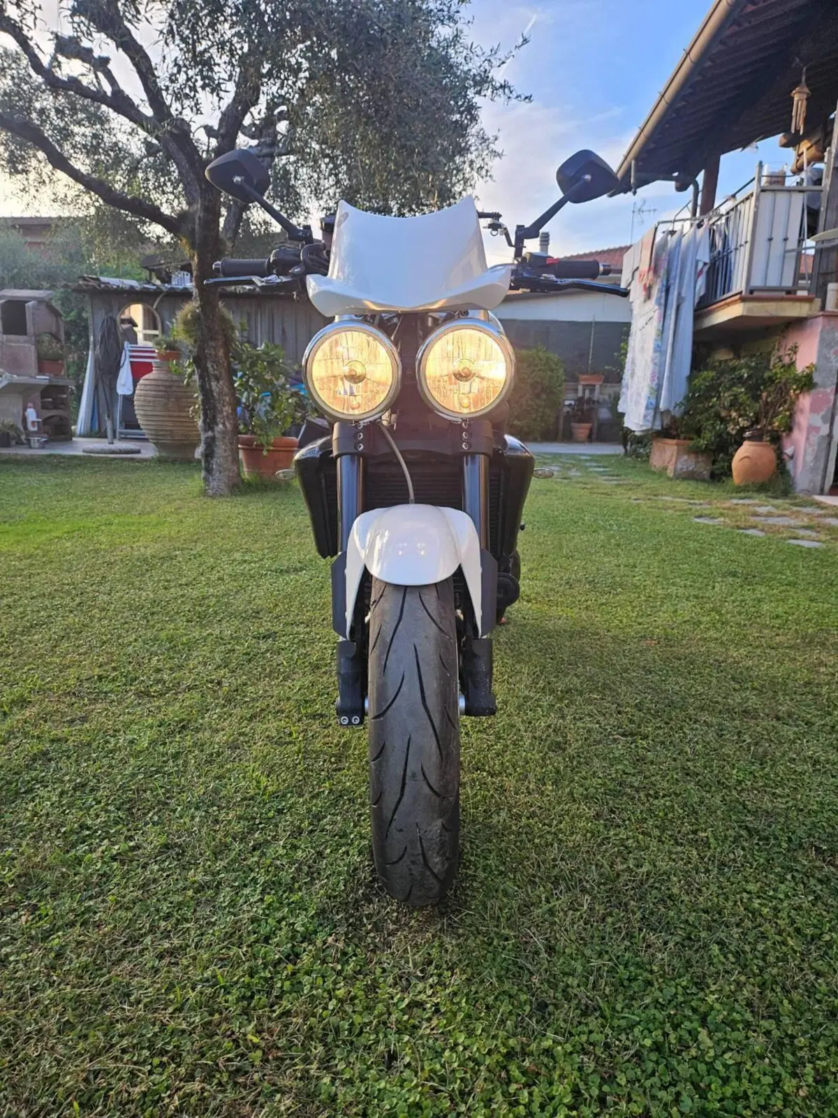 Triumph Speed Triple 1050 (2005 - 11) (3)