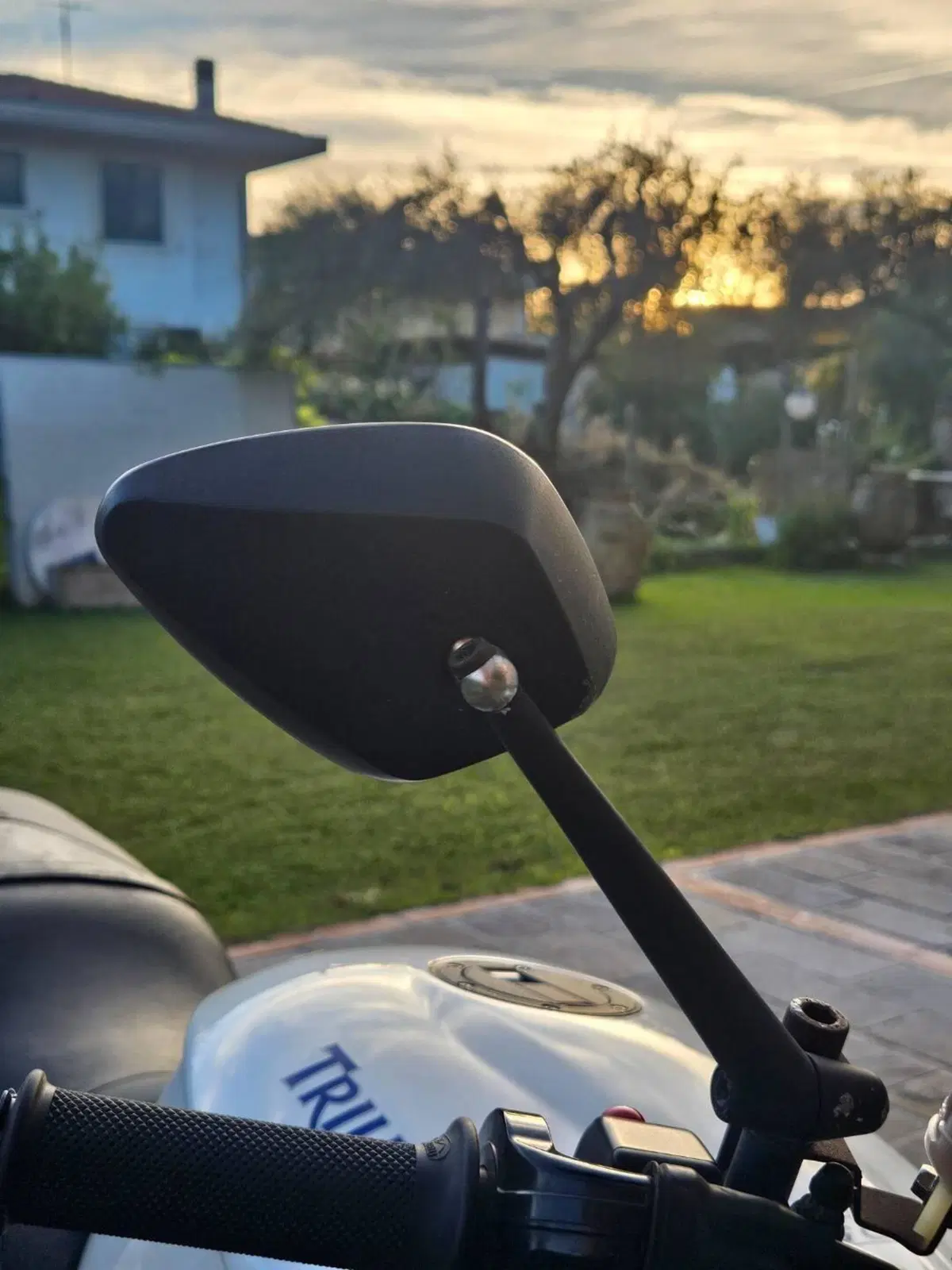 Triumph Speed Triple 1050 (2005 - 11) (9)