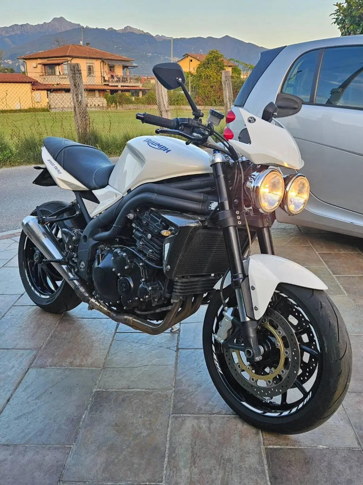 Triumph Speed Triple 1050 (2005 - 11) (12)