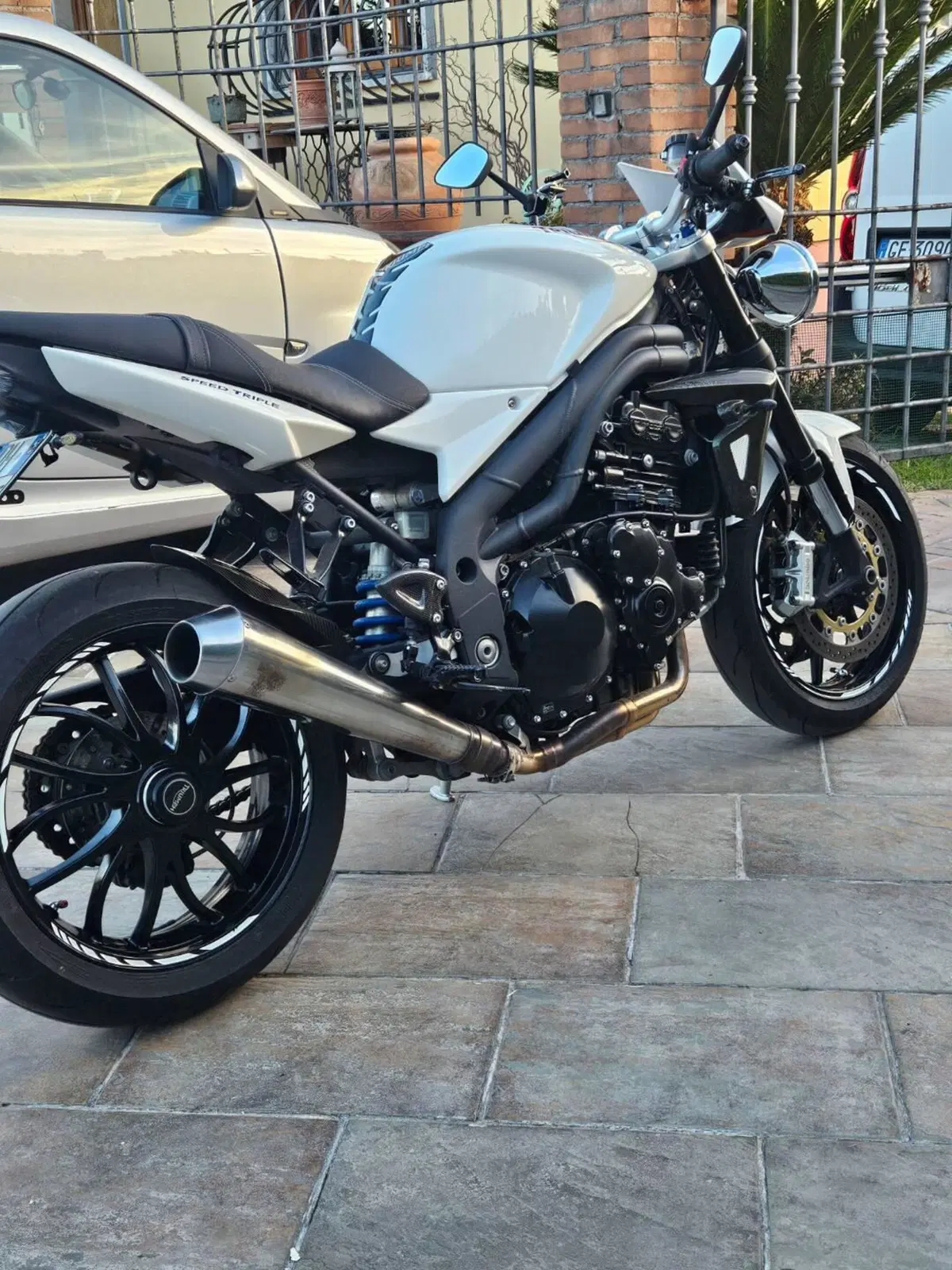 Triumph Speed Triple 1050 (2005 - 11) (13)